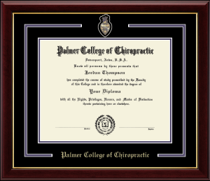 Image of 17A NEW GALLERY BRONZE CREST MEDALLION DIPLOMA FRAME